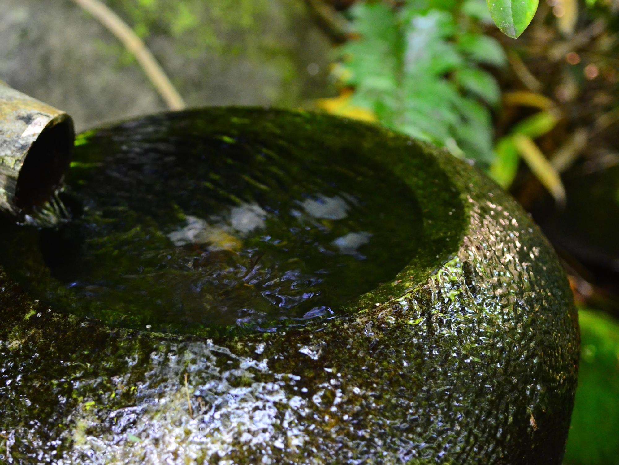 Yufuin Ryokan Nogiku Eksteriør bilde